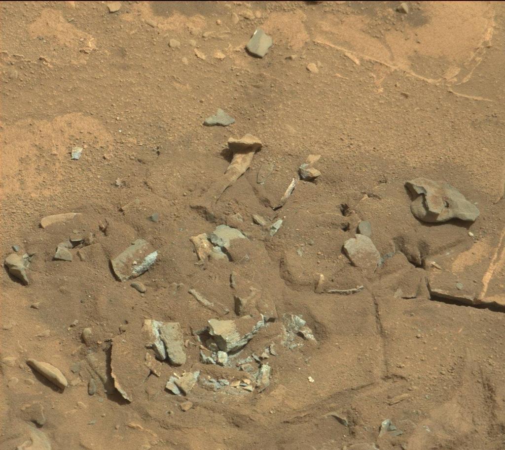 'Thigh Bone' on Mars Is Just Another Rock, NASA Says